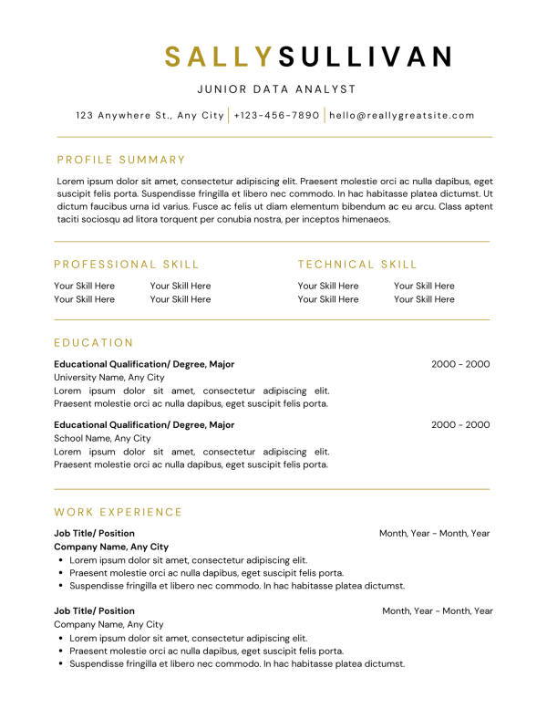 Resume Template 3