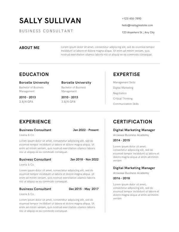 Resume Template 1